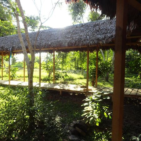 Sotupa Eco House Hostel Puerto Maldonado Exterior foto